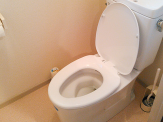 トイレリフォーム シンプルに仕上げ費用を抑えたトイレ